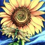 The Sunflower Art Print