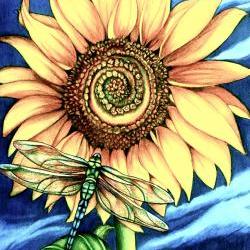 the sunflower art print